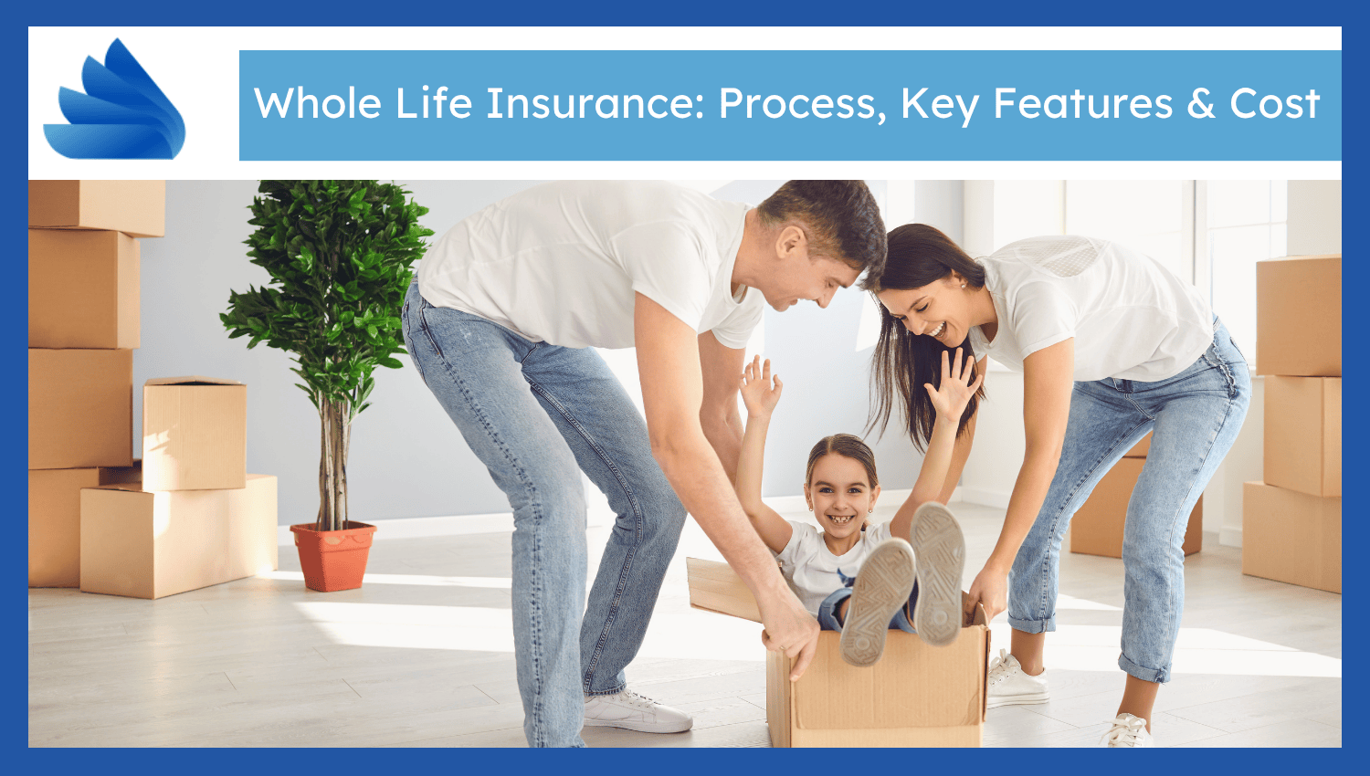 whole life insurance