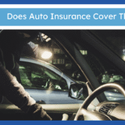 Auto Insurance Theft